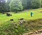Sarmizegetusa Regia Foto Daniel Guță ADEVĂRUL (45) jpg