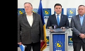 Adrian Cozma centru FOTO captura PNL satu mare  png