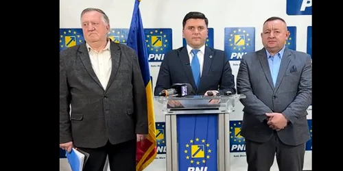 Adrian Cozma centru FOTO captura PNL satu mare png