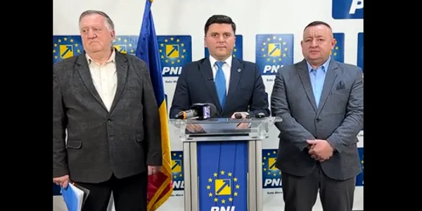 Adrian Cozma centru FOTO captura PNL satu mare  png