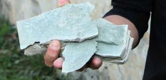 Se pare că agresorii erau copii de etnie romă