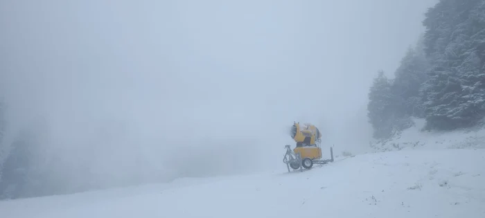 Ninge în Poiana Brașov FOTO Primăria Brașov