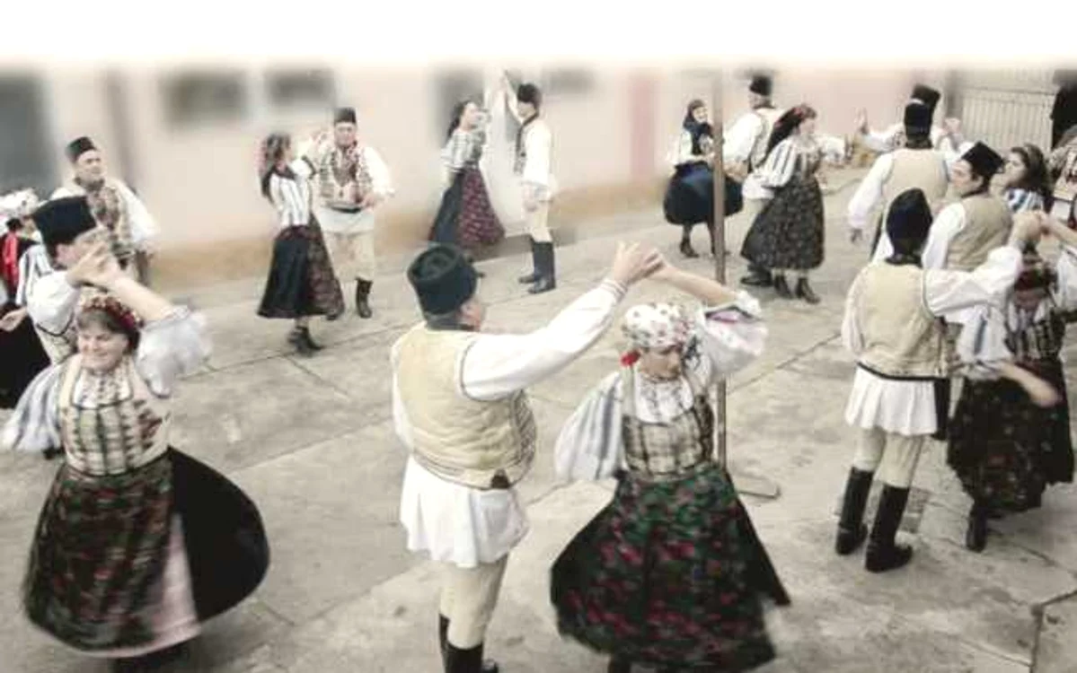 brasov feciorescu ticusul nou