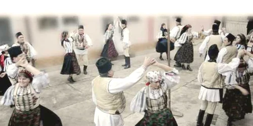 brasov feciorescu ticusul nou