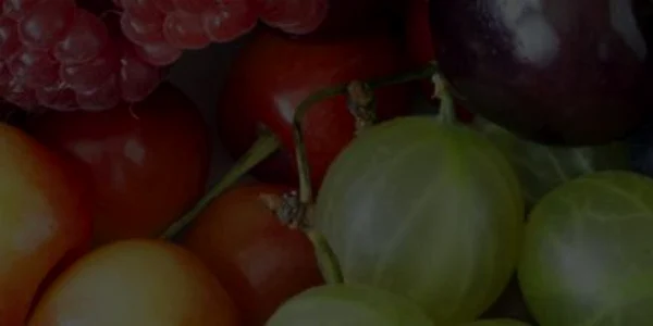 iFRUCTE nstitutul marabineni
