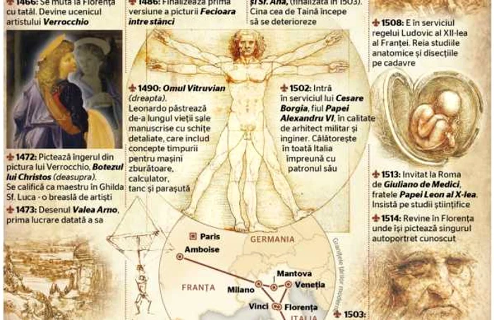 grafic leonardo da vinci