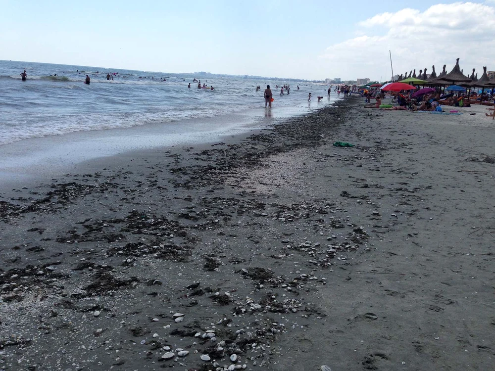 La Mamaia, turiştii nu au putut întinde cerşaful din cauza scoicilor