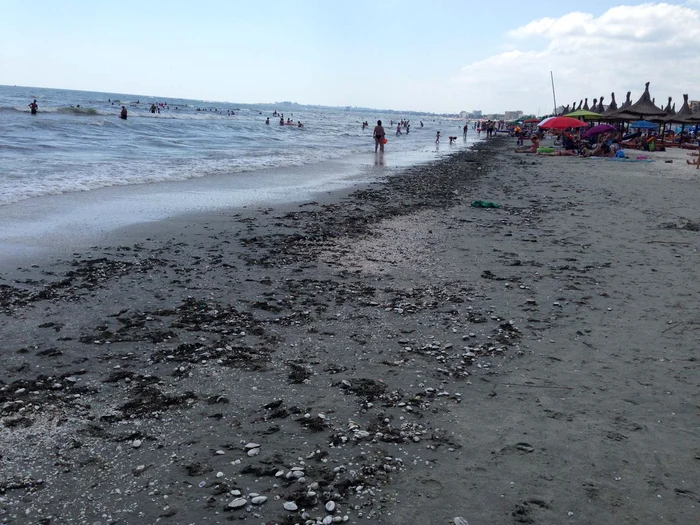 La Mamaia, turiştii nu au putut întinde cerşaful din cauza scoicilor