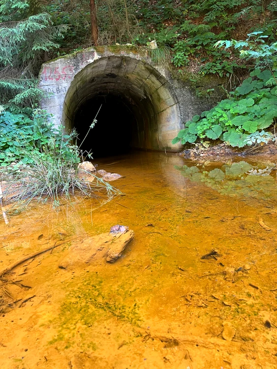 Mineritul rudimentar poluează mediul  FOTO Gogreenresources