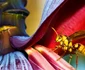 Sony World Photography