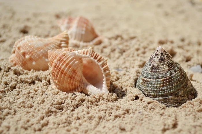 Vara lui 2025 va fi mai răcoroasă / foto: Pixabay