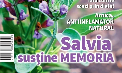 1 01 coperta cs7 1 page 001 jpg jpeg