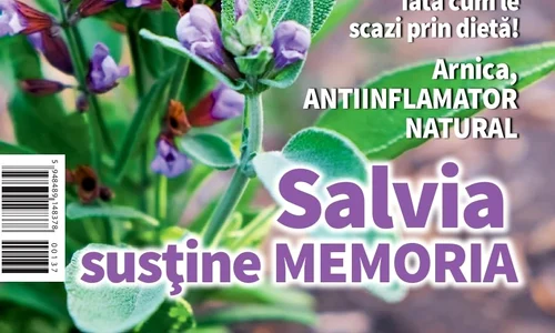 1 01 coperta cs7 1 page 001 jpg jpeg