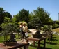 Jardins du Monde   Royan   foto lucian muntean 0036 0 JPG