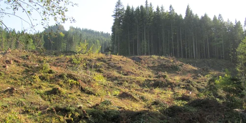 Imagine din zona Câmpulung Moldovenesc, în apropiere de Munţii Rărău