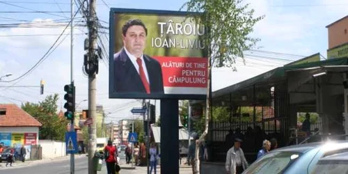 Copac taiat ca sa se vada un afis electoral