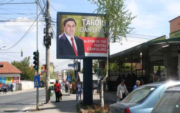 Din copac a mai rămas un ciot FOTO: Cătălin Ion Butoiu