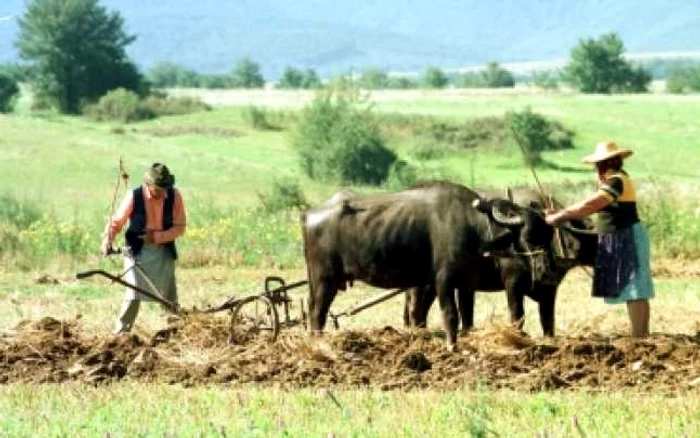 Slatina: Campanie de informare a agricultorilor