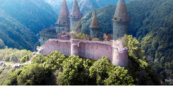 cetatea poenari