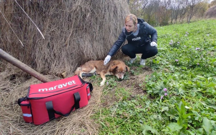 FOTO arhivă Adevărul