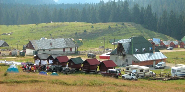 Rezervaţia din Padiş este protejată în instanţă, cu ajutorul ecologiştilor