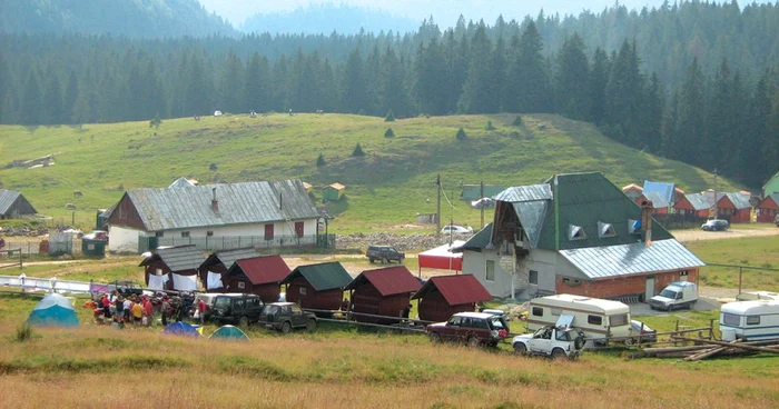 Rezervaţia din Padiş este protejată în instanţă, cu ajutorul ecologiştilor