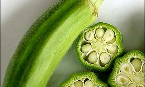 1 70322 original jpg jpeg