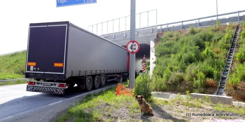 autostrada lugoj deva la dobra foto daniel guta