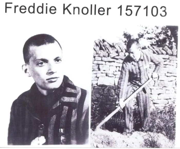 Freddie Knoller