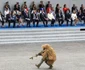 Ziua Naţională a Franţei FOTO AFP Ludovic Marin