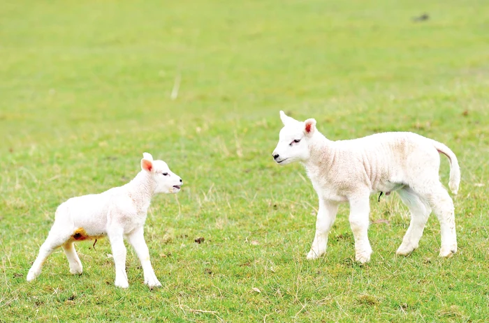 
    Foto: Photoland / Caters  