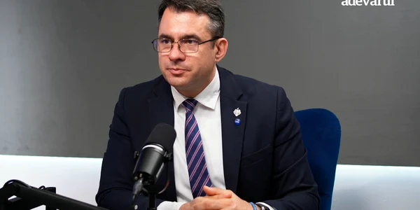 ȘTEFAN PĂLĂRIE 3 mp4 thumbnail png
