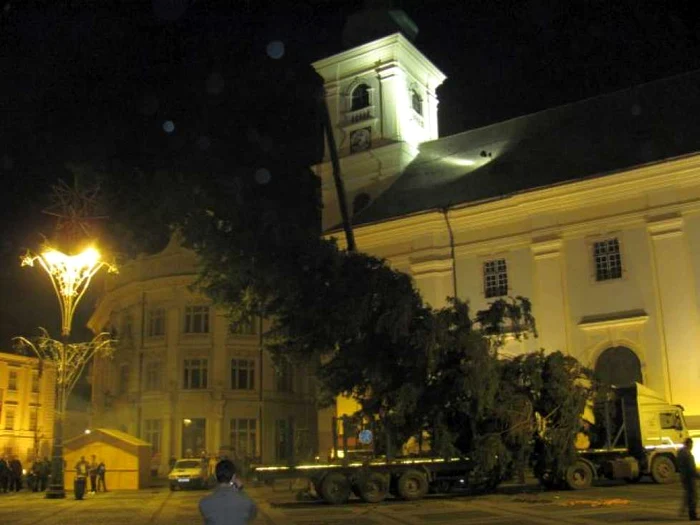 Bradul de Crăciun a fost montat în Centrul Sibiului. Foto: Ştefan Dobre