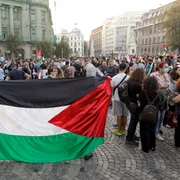 miting de solidaritate cu palestinienii din Gaza, în București, România FOTO Shutterstock 
