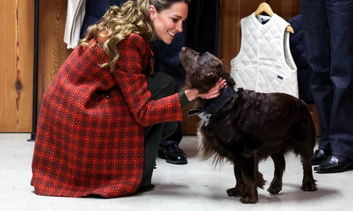 Kate Prințesa de Wales, talentată la croitorie, Profimedia (2) jpg