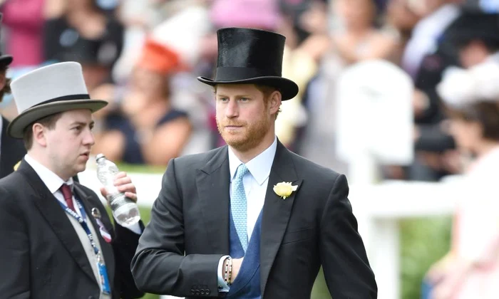 Prince Harry jpeg
