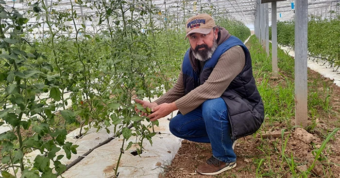 Adrian Orza produce legume bio FOTO arhivă personală