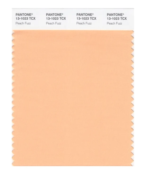 Peach fuzz culoarea anului 2024 jpg