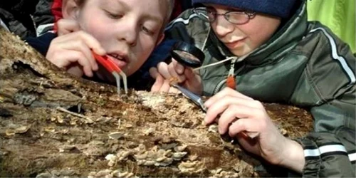 brasov proiect educativ rasnov