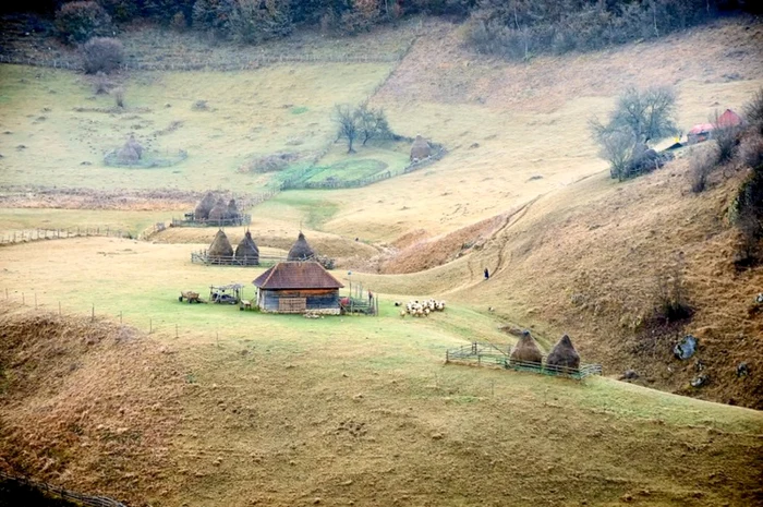 fundatura ponorului toamna foto claudiu nelega