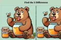 observa diferentele urs jpg