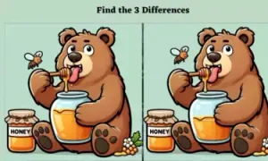 observa diferentele urs jpg