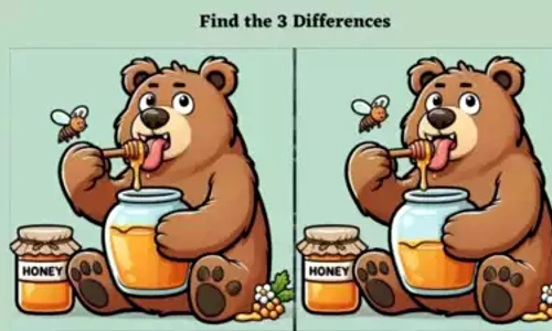 observa diferentele urs jpg