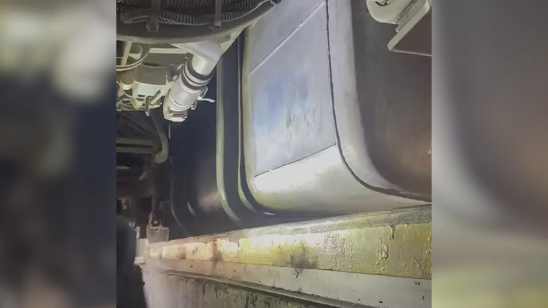 Locul în care se ascundeau nouă irakieni descoperiți de polițiștii de frontieră din Giurgiu