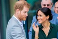 4 meghan markle si printul harry job in america jpg jpeg