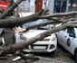 Copac prăbuşit peste maşini în centrul Constanţei Sursa Răzvan Căvescu