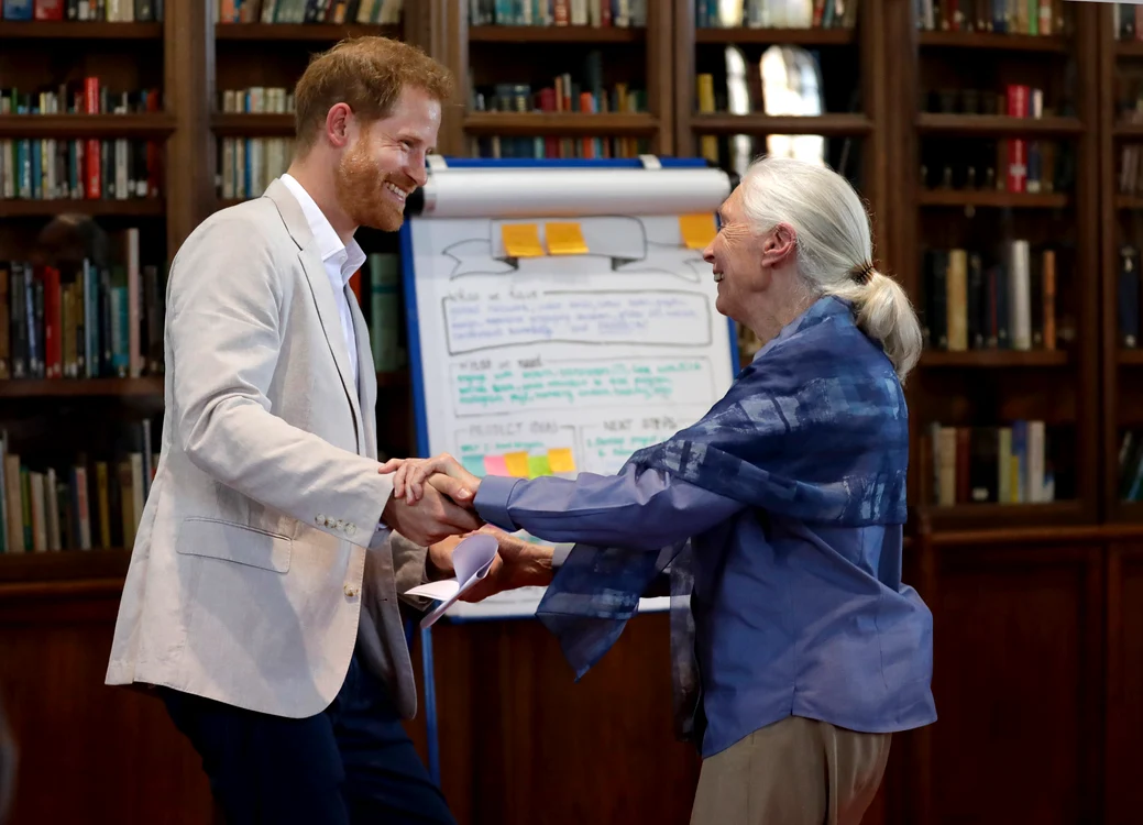 Prințul Harry alături de Dr Jane Goodall, Profimedia (1) jpg