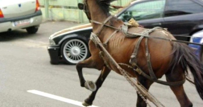 După accident, conducătorul căruţei a fugit