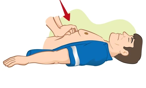 1 shutterstock 245855248 jpg jpeg