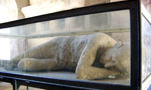 pompeiis victims thick wool august 1 webp